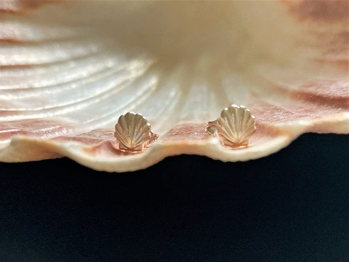 Camino shell earrings for new ventures