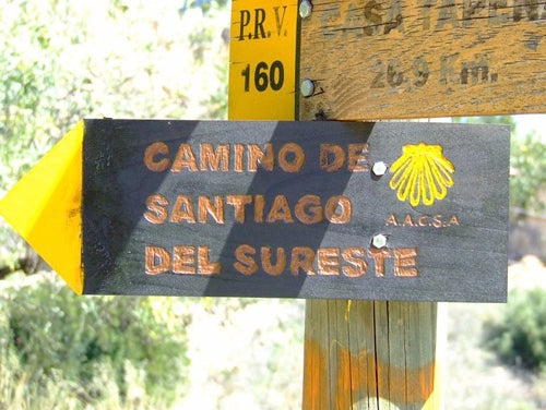Camino ring for mental health on life’s journey